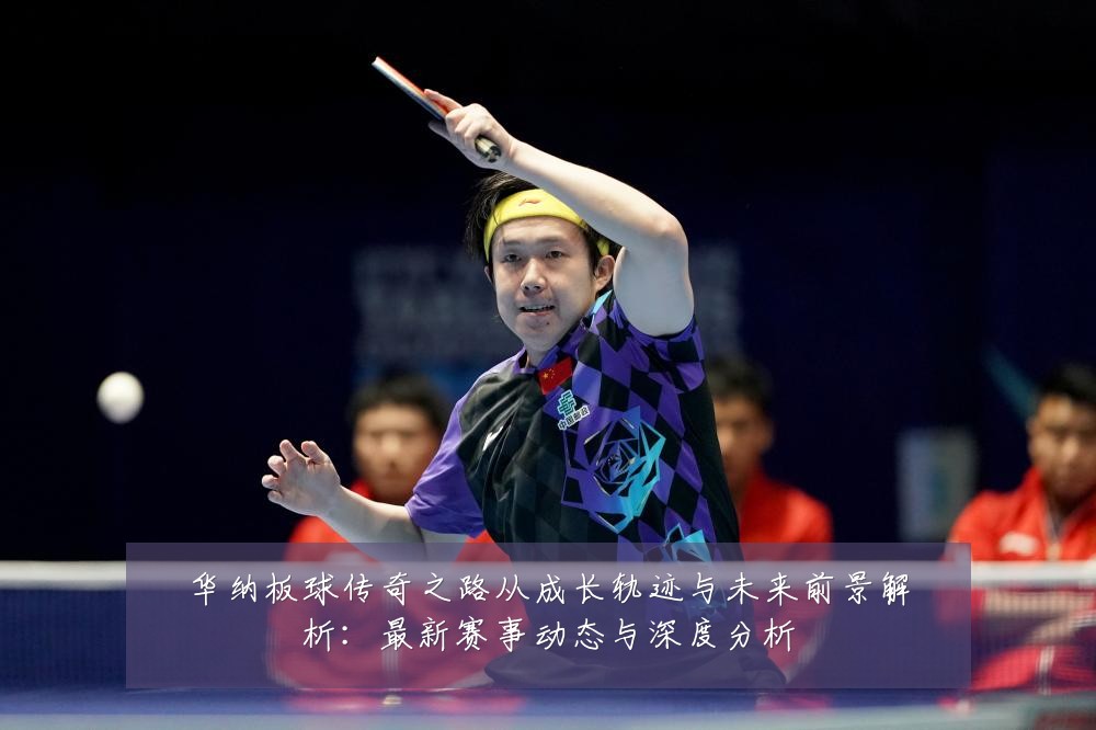 华纳板球传奇之路从成长轨迹与未来前景解析:最新赛事动态与深度分析